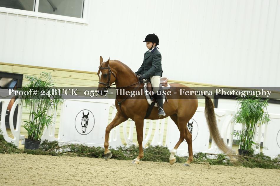 Proof 24BUCK_05717