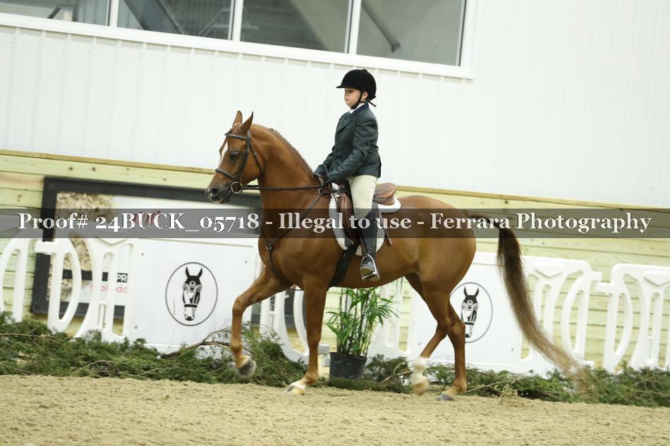 Proof 24BUCK_05718