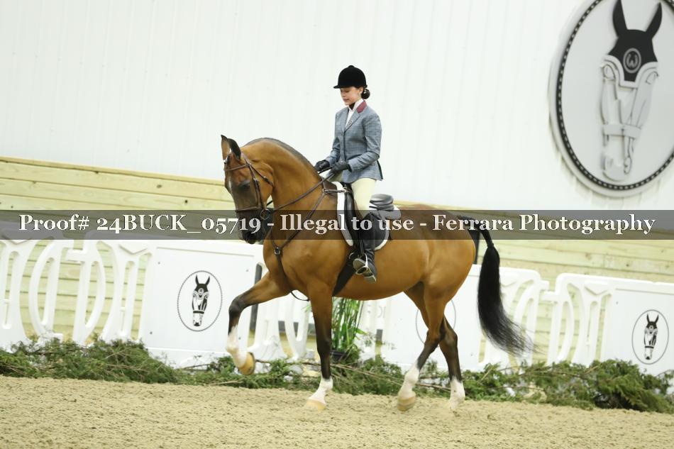 Proof 24BUCK_05719