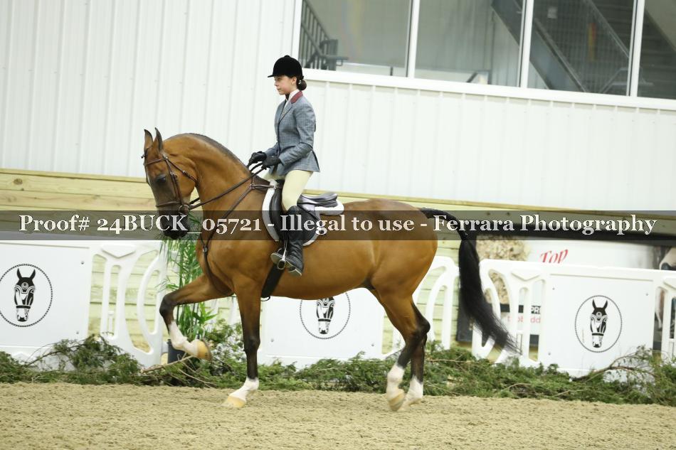 Proof 24BUCK_05721