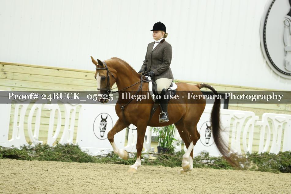 Proof 24BUCK_05725