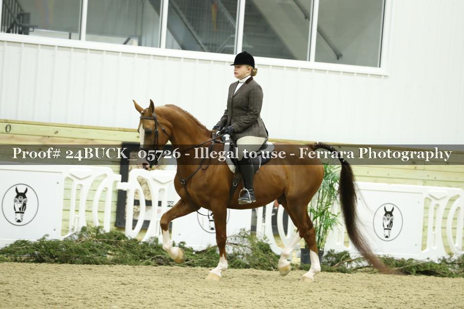 Proof 24BUCK_05726