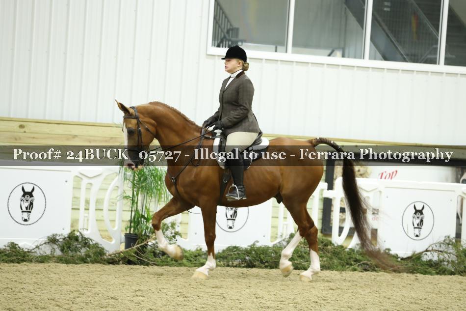 Proof 24BUCK_05727