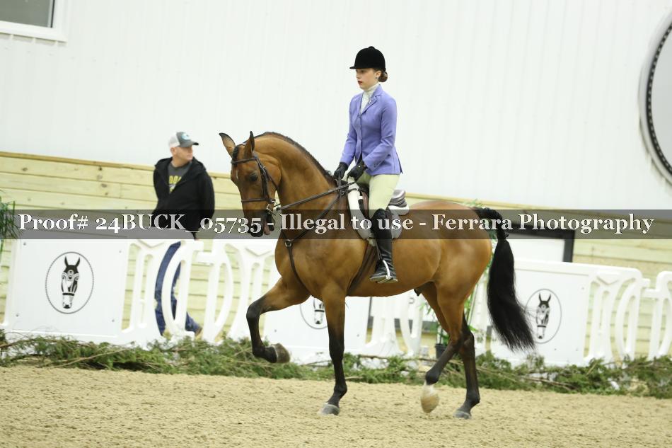 Proof 24BUCK_05735