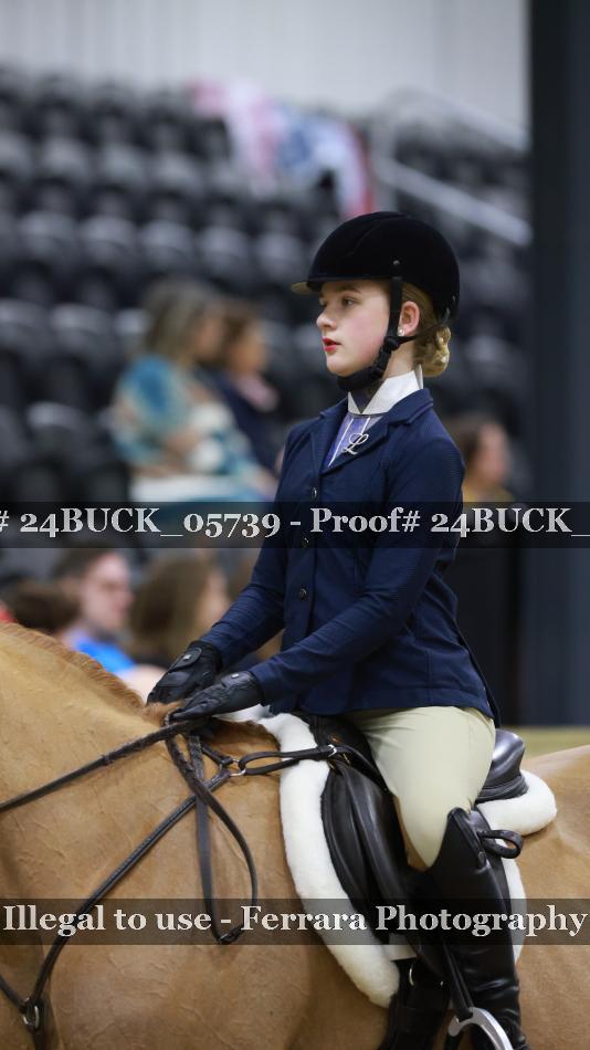 Proof 24BUCK_05739