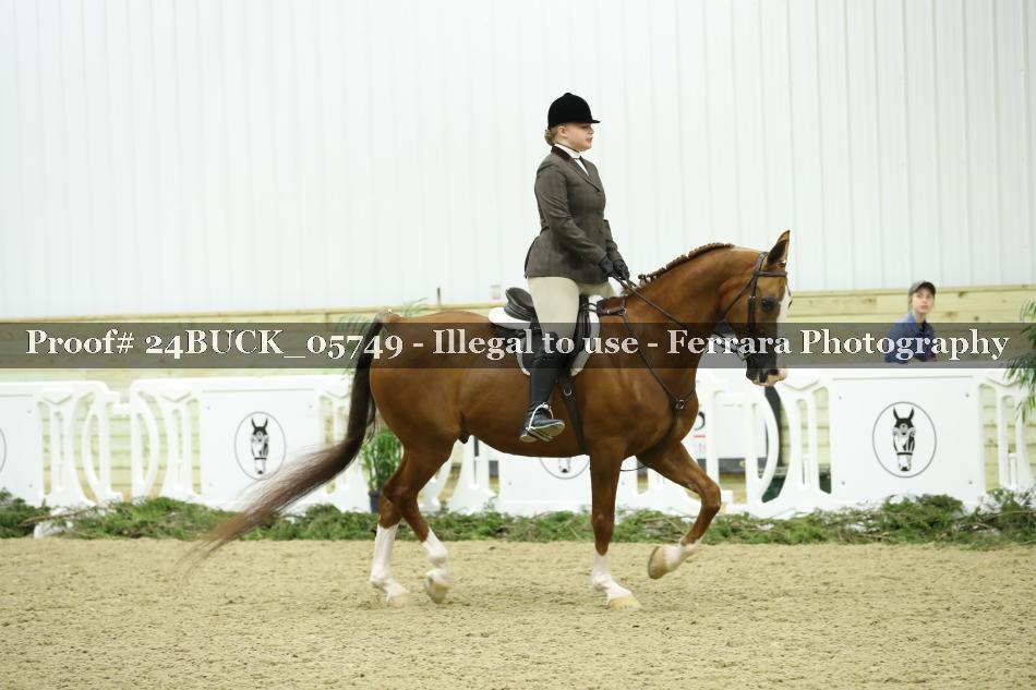 Proof 24BUCK_05749