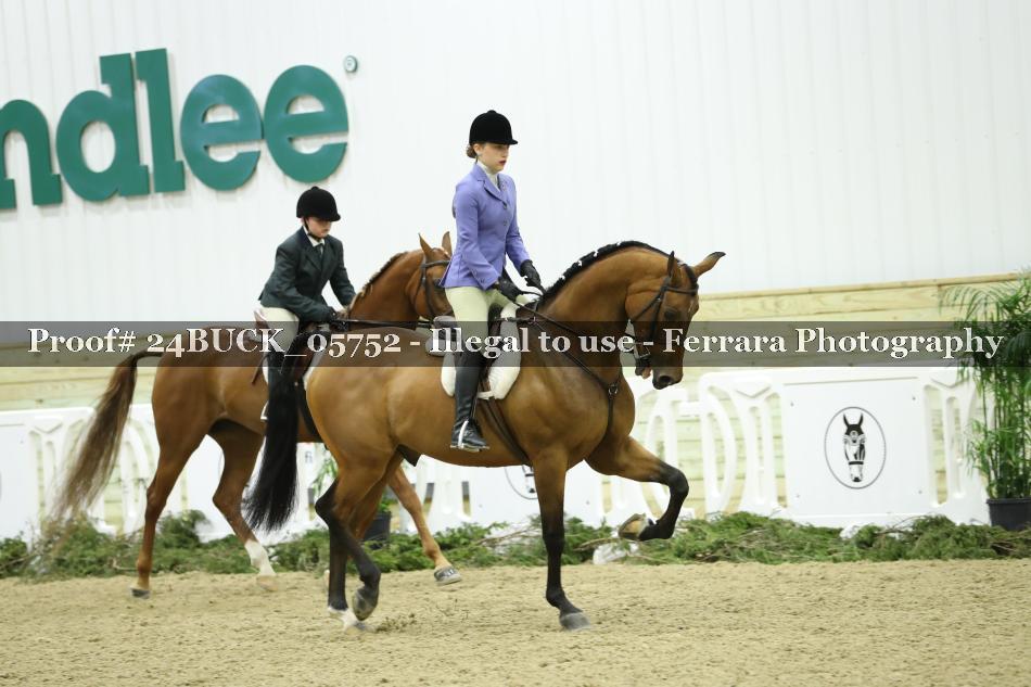 Proof 24BUCK_05752
