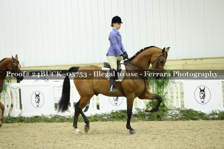 Proof 24BUCK_05753