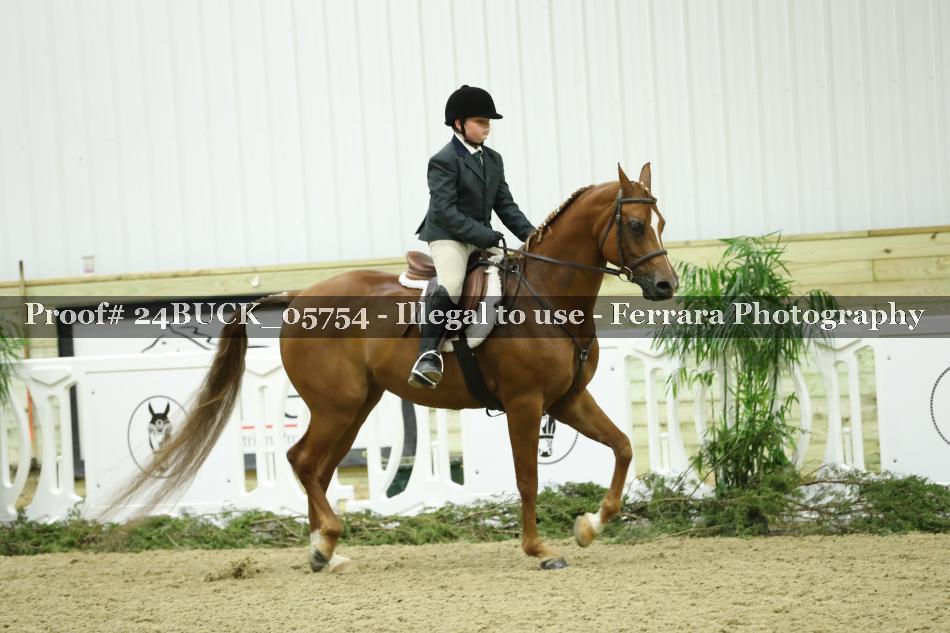 Proof 24BUCK_05754