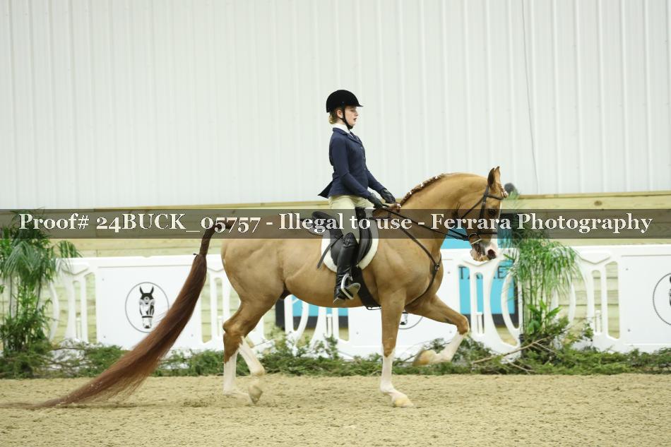 Proof 24BUCK_05757