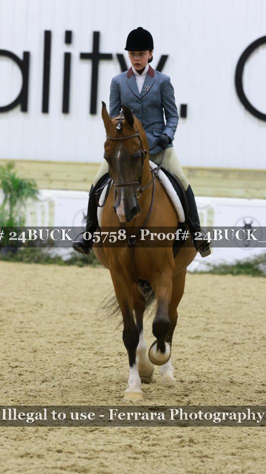 Proof 24BUCK_05758