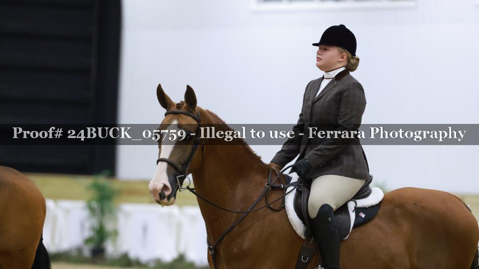 Proof 24BUCK_05759