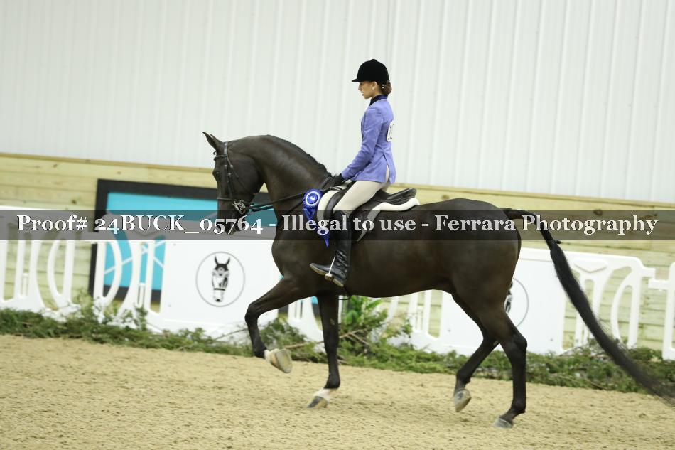 Proof 24BUCK_05764