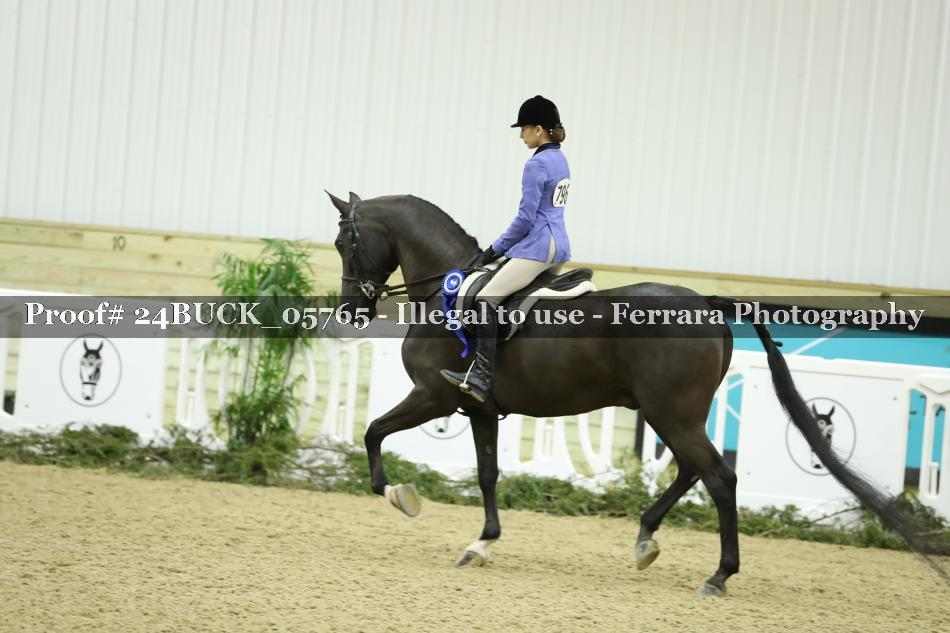 Proof 24BUCK_05765