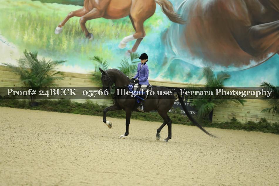Proof 24BUCK_05766