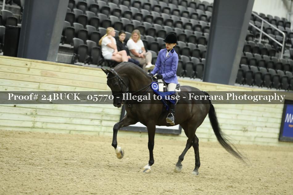Proof 24BUCK_05770