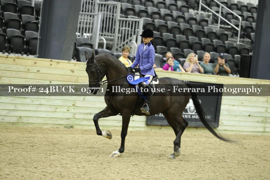 Proof 24BUCK_05771
