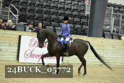 24BUCK_05772 proof