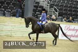 24BUCK_05773 proof