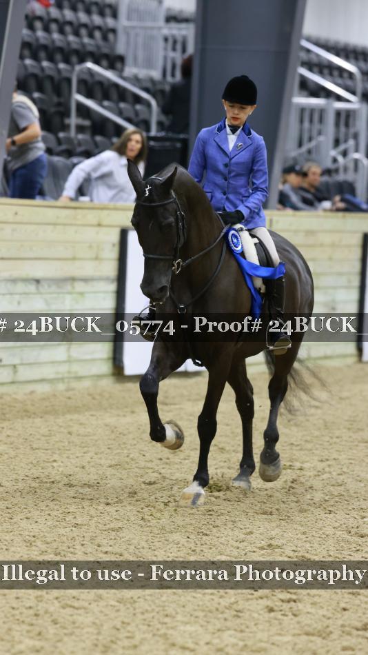 Proof 24BUCK_05774