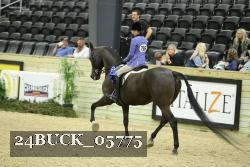 24BUCK_05775 proof