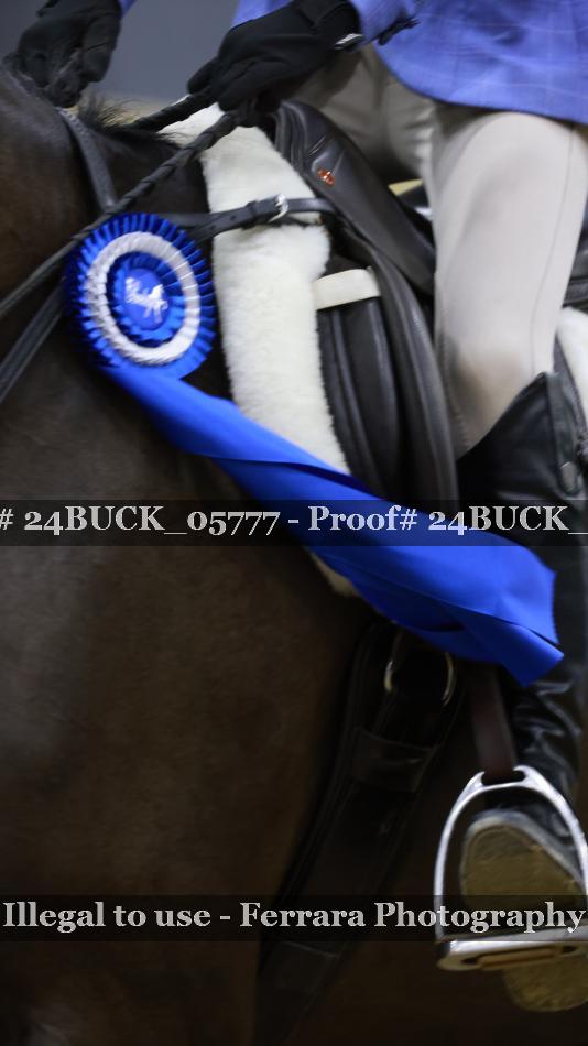 Proof 24BUCK_05777