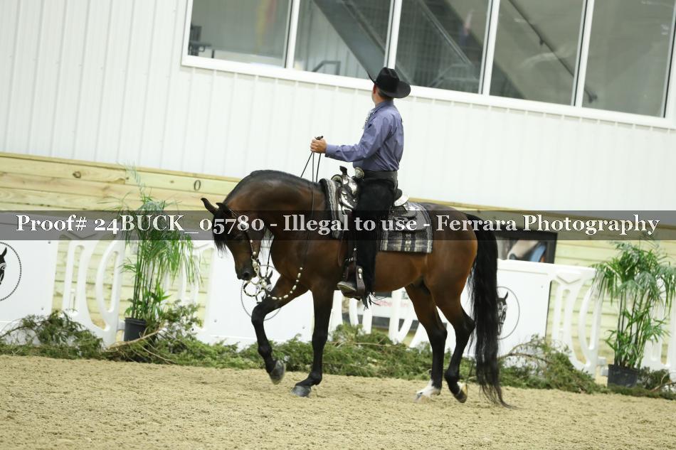 Proof 24BUCK_05780