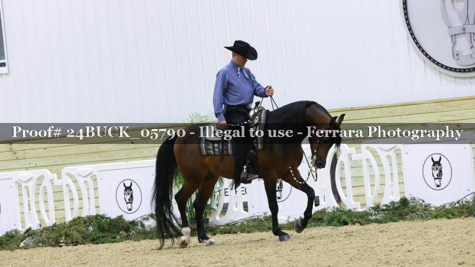 Proof 24BUCK_05790