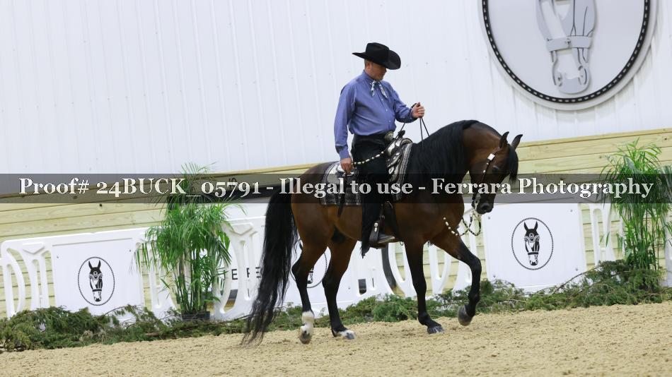 Proof 24BUCK_05791