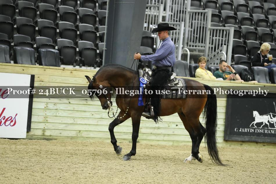 Proof 24BUCK_05796