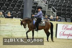24BUCK_05800 proof