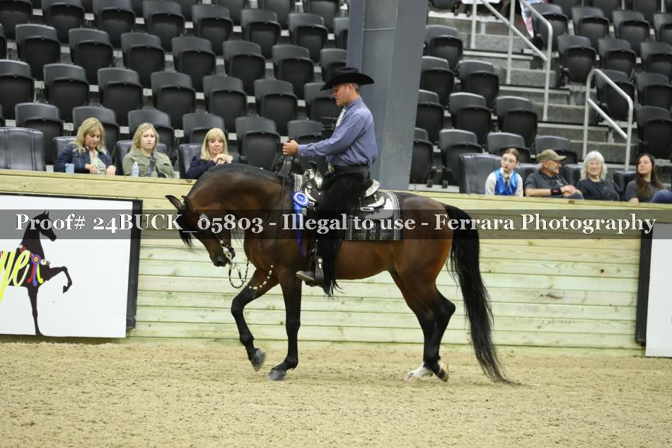 Proof 24BUCK_05803