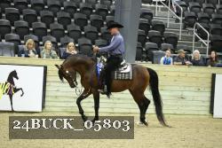 24BUCK_05803 proof