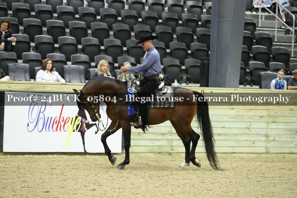 Proof 24BUCK_05804