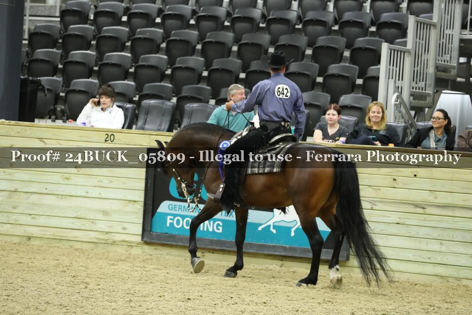Proof 24BUCK_05809