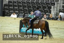 24BUCK_05809 proof