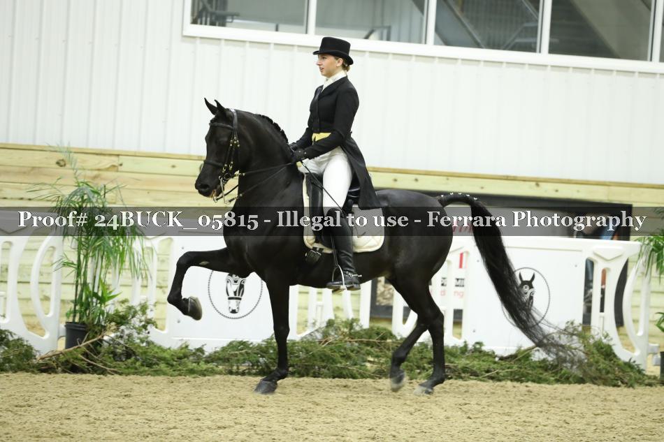 Proof 24BUCK_05815
