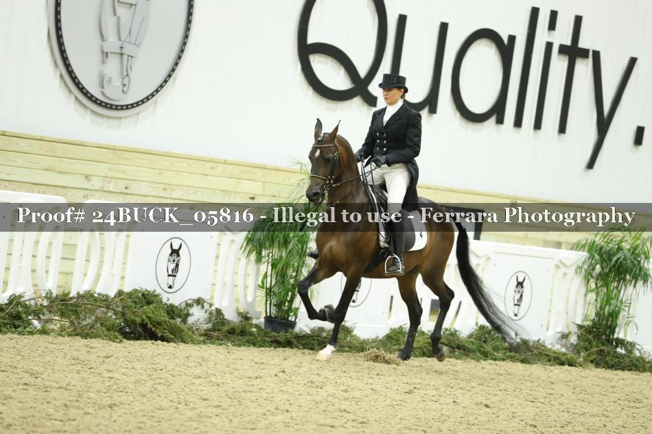 Proof 24BUCK_05816