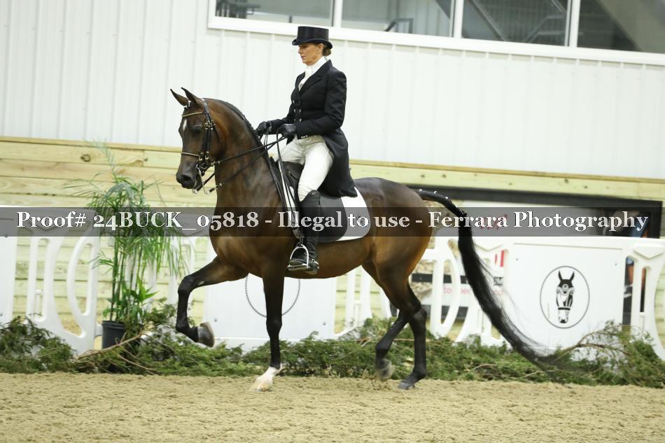 Proof 24BUCK_05818