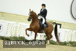 24BUCK_05820 proof