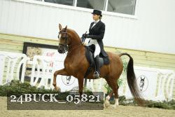 24BUCK_05821 proof