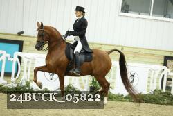 24BUCK_05822 proof