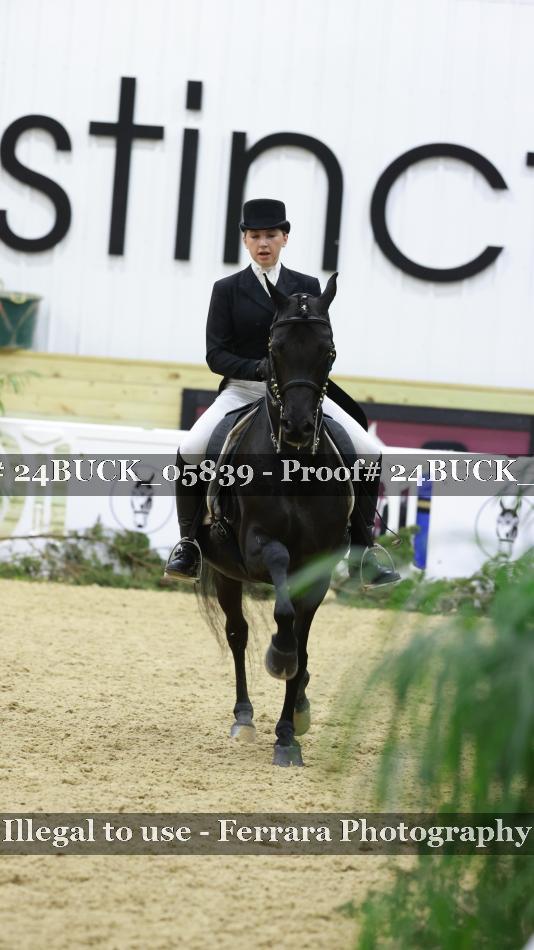 Proof 24BUCK_05839
