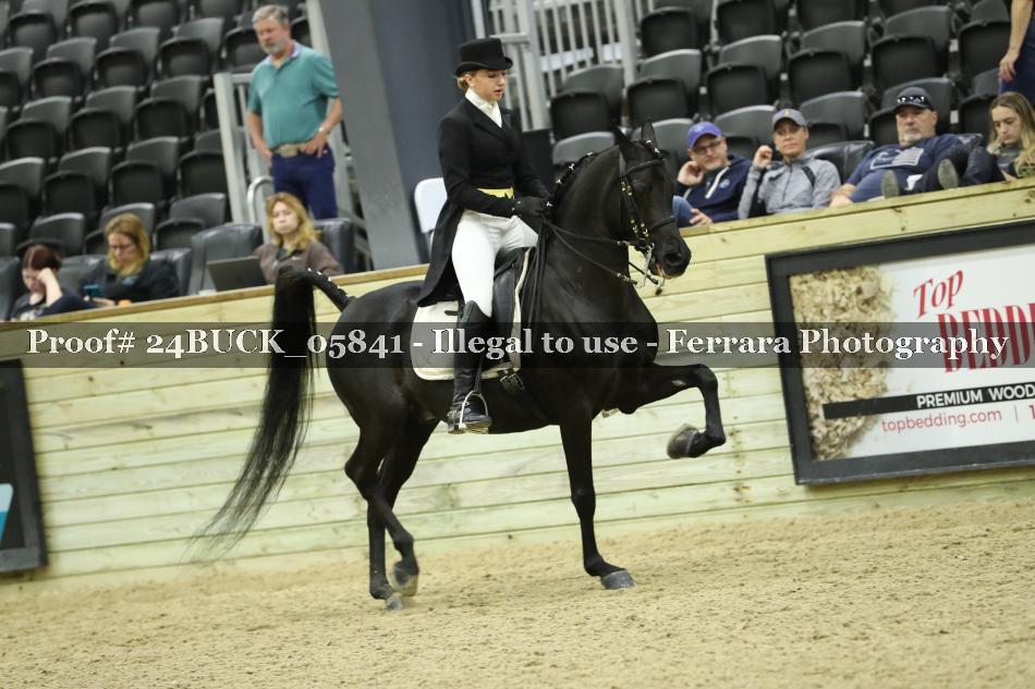 Proof 24BUCK_05841