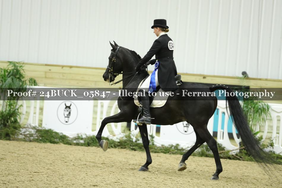 Proof 24BUCK_05847