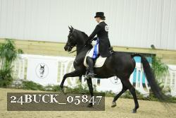 24BUCK_05847 proof