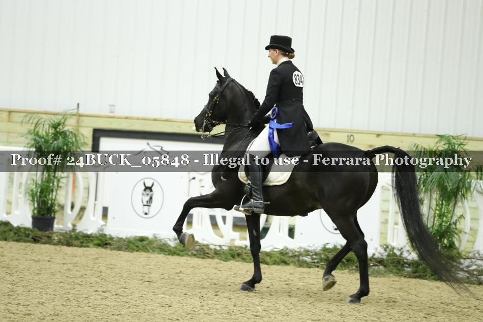 Proof 24BUCK_05848