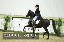 24BUCK_05848 proof