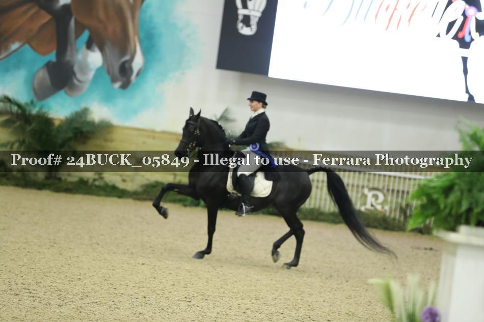 Proof 24BUCK_05849