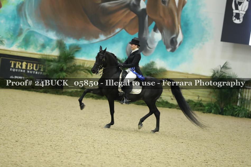 Proof 24BUCK_05850